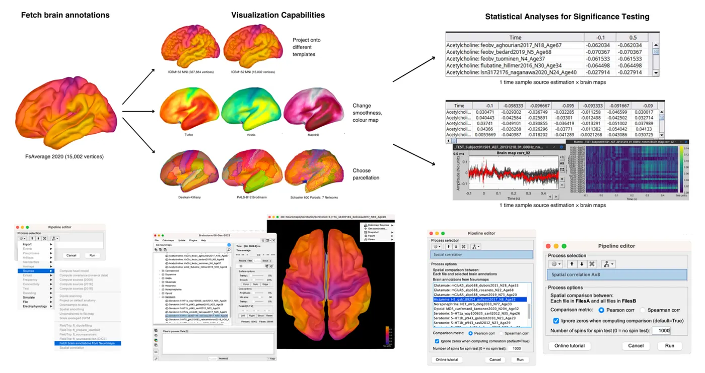 A User‑friendly Implementation for Structural and Functional Interpretation of Brain Maps - Research project thumbnail showing The Brainstorm neuromaps plugin integrates curated...